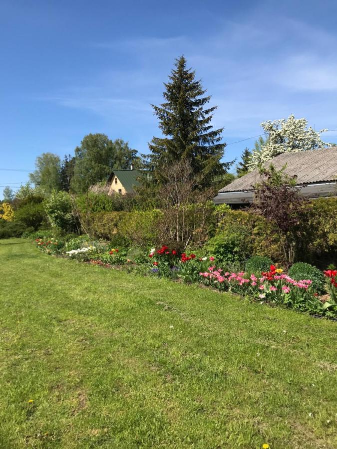 Brivdienu Maja"Jauneglites" Skulte  Luaran gambar